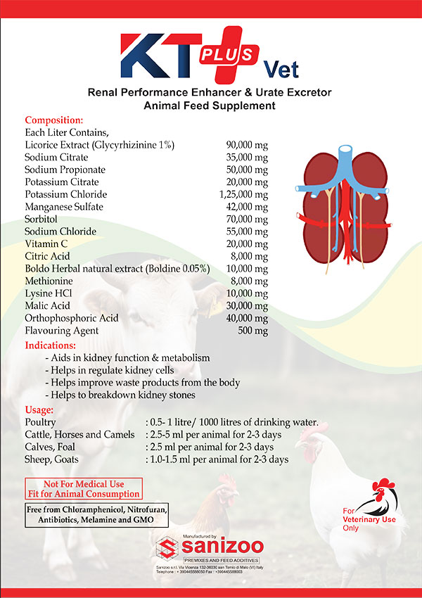 KT Plus Vet (Lable Export)