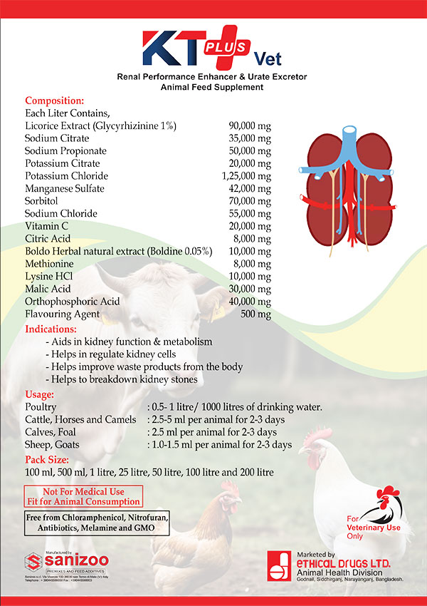 KT Plus (Website-Literature)